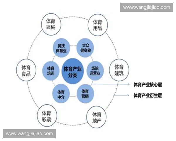 体育行业规范建设与管理现状分析及未来发展路径探讨